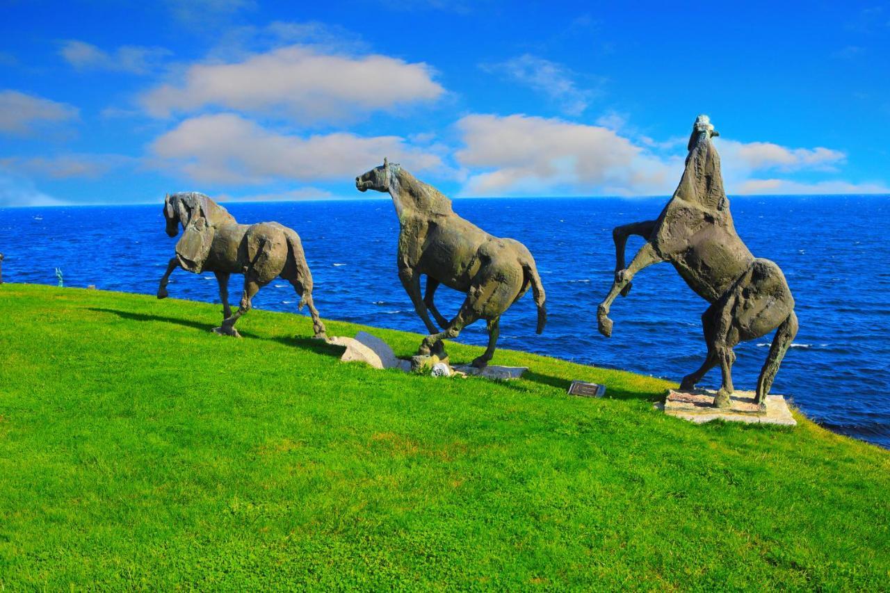 فندق Art Complex Anel سوزوبول المظهر الخارجي الصورة